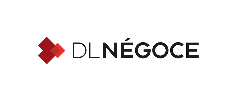 DLNEGOCE_Logo